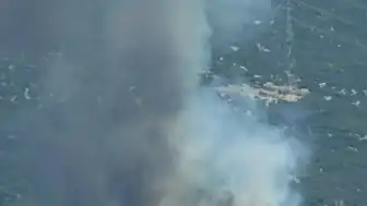 İzmir Bornova'da Orman Yangını: Ekipler Seferber Oldu
