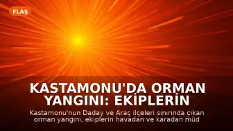 Kastamonu'da Orman Yangını: Ekiplerin Müdahalesiyle Kontrol Altına Alındı