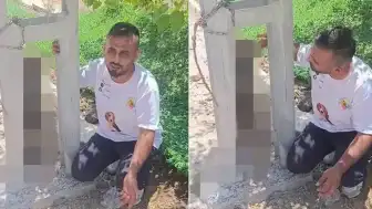 Kırıkhan'da Sahipli Köpek Elektrik Direğinde Ölü Bulundu