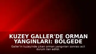 Kuzey Galler'de Orman Yangınları: Bölgede Acil Durum İlan Edildi