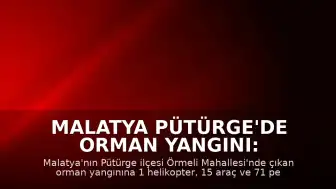 Malatya Pütürge'de Orman Yangını: Ekiplerin Müdahalesi Sürüyor