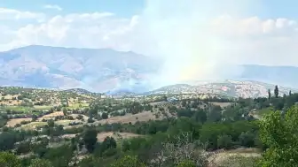 Malatya Pütürge'deki Orman Yangını Kontrol Altına Alındı