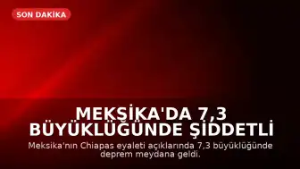 Meksika'da 7,3 Büyüklüğünde Şiddetli Deprem: Tsunami Uyarısı Yapıldı