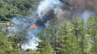 Muğla Göcek'te Orman Yangını: Ekiplerin Müdahalesi Sürüyor