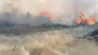 Muğla Menteşe'de Orman Yangını: 1 Şüpheli Gözaltına Alındı