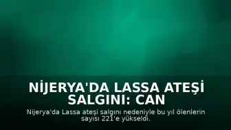 Nijerya'da Lassa Ateşi Salgını: Can Kaybı 221'e Ulaştı