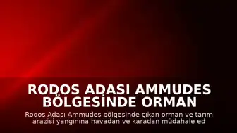 Rodos Adası Ammudes Bölgesinde Orman Yangını Meydana Geldi