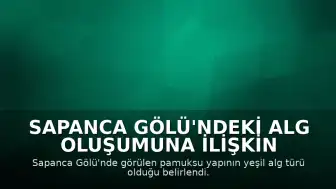 Sapanca Gölü'ndeki Alg Oluşumuna İlişkin Bilimsel Açıklama: Su Kalitesi Korunuyor