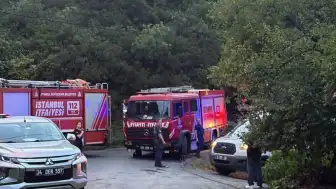 Sarıyer'de Orman Yangını: Müdahale Sırasında Bir İtfaiye Eri Yaralandı