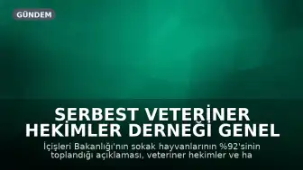 Serbest Veteriner Hekimler Derneği Genel Başkanı Bilsay Kanat: "Bize kaç hayvan toplandığını değil, kaçının yaşatıldığını söyleyin"