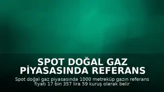 Spot Doğal Gaz Piyasasında Referans Fiyat ve İşlem Hacmi Verileri Açıklandı