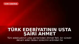 Türk Edebiyatının Usta Şairi Ahmet Telli Yaşamını Yitirdi