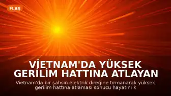Vietnam'da Yüksek Gerilim Hattına Atlayan Şahıs Hayatını Kaybetti