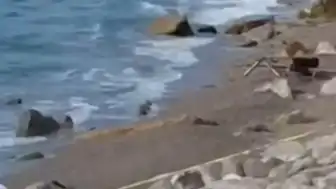 Zonguldak Filyos Sahili'nde Askeri İHA Bulundu: Geniş Güvenlik Önlemi Alındı