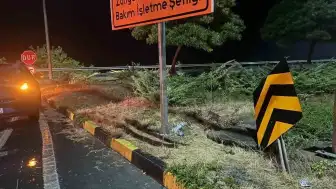 Zonguldak'ta Trafik Kazası: 5 Yaralı