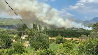 Muğla Seydikemer'deki Orman Yangını Kontrol Altına Alındı