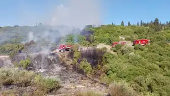 Kocaeli'nin Gebze İlçesinde Ormana Sıçrayan Yangın Kontrol Altına Alındı