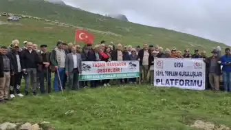 Ordu'da Altın Sondajından Kaynaklanan Kirlilik ve Hayvan Ölümü İddiaları