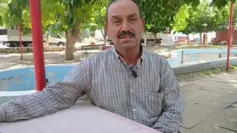 Aydın Karacasu'da Zeytin Üreticileri Düşük Fiyatlar Nedeniyle Tepkili: Alımlar Durdu