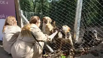 Ordu'da 200 Can Dostuna Yeni Yuva: Patiköy Doğal Yaşam Alanı Açıldı