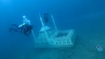 Saros Körfezi'ndeki Yapay Resifler Deniz Canlıları İçin Yaşam Alanı Oldu