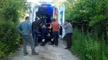 Bal Arısı Sokması Sonucu T.B. Hastaneye Kaldırıldı
