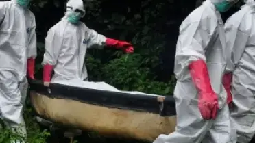 DSÖ Ebola Salgını Nedeniyle Küresel Kriz İlan Etti: Ölüm Oranı Yüzde 90