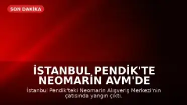 İstanbul Pendik'te Neomarin AVM'de Yangın: Tahliye ve Müdahale
