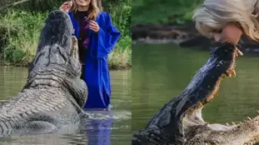 Mezuniyet Fotoğrafı İçin Timsahla Tehlikeli Anlar Yaşadı