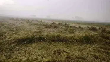 Osmaniye'de Sağanak Nedeniyle Evinde Mahsur Kalan Yaşlı Kadın Kurtarıldı