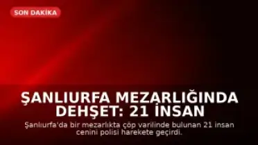Şanlıurfa Mezarlığında Dehşet: 21 İnsan Cenini Bulundu