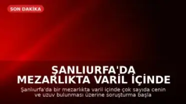 Şanlıurfa'da Mezarlıkta Varil İçinde Cenin Bulundu