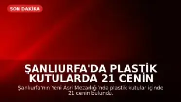 Şanlıurfa'da Plastik Kutularda 21 Cenin Bulundu