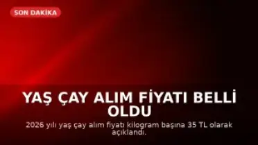 Yaş Çay Alım Fiyatı Belli Oldu