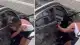 İstanbul Kadıköy'de Otoparkta İki Kadın Arasında Kavga Çıktı