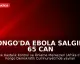 Kongo'da Ebola Salgını: 65 Can Kaybı Bildirildi