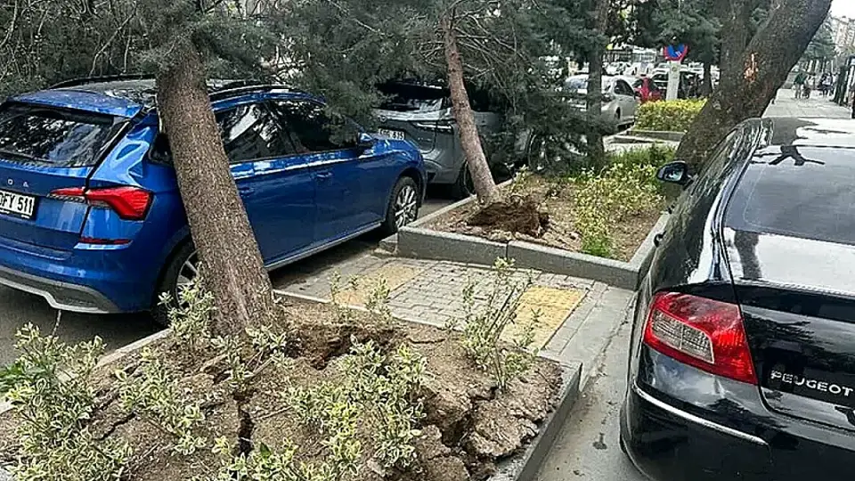 Ankara'da Fırtına: Ağaçlar Devrildi, Çatılar Uçtu