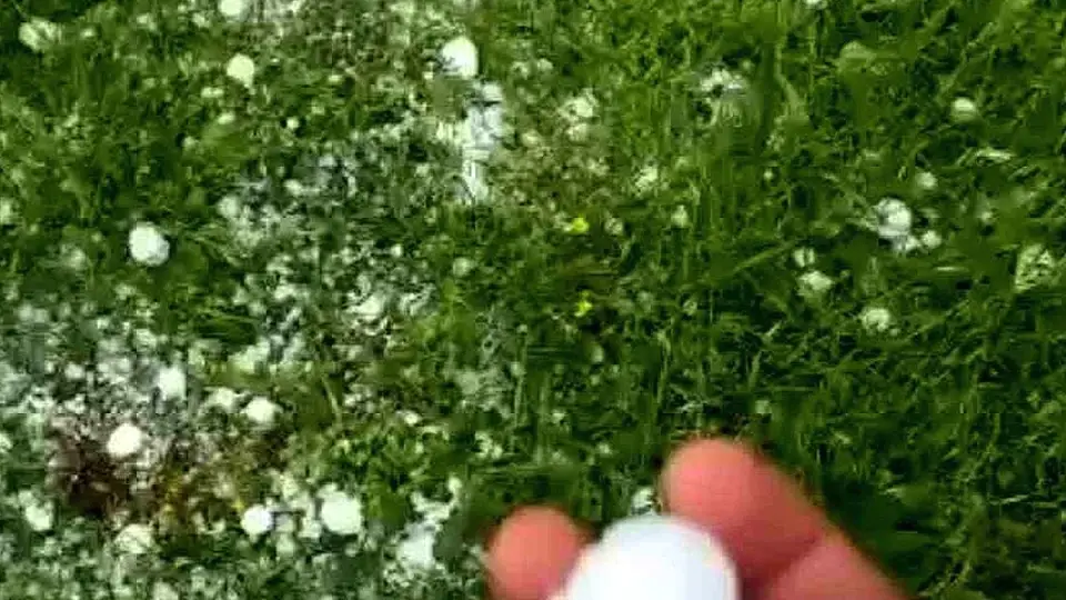 Batman'da Ceviz Büyüklüğünde Dolu Yağışı Tarım Arazilerine Zarar Verdi