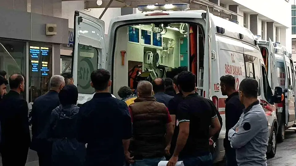Batman'da Yıldırım Çarpan Çoban Hayatını Kaybetti