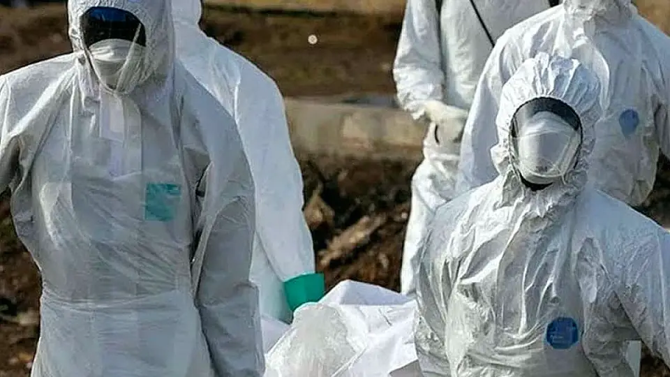 DSÖ'den Ebola Virüsü Uyarısı: Salgın Yayılma Riski Taşıyor