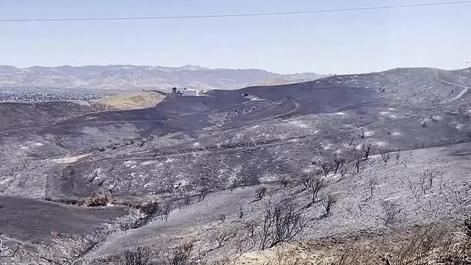 Kaliforniya'da Orman Yangını Kontrol Altına Alınamıyor