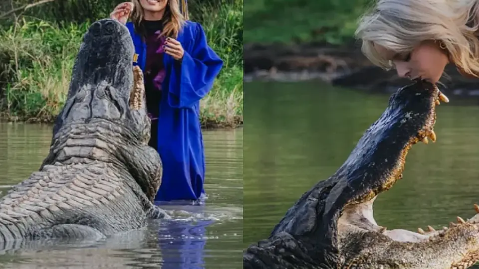 Mezuniyet Fotoğrafı İçin Timsahla Tehlikeli Anlar Yaşadı