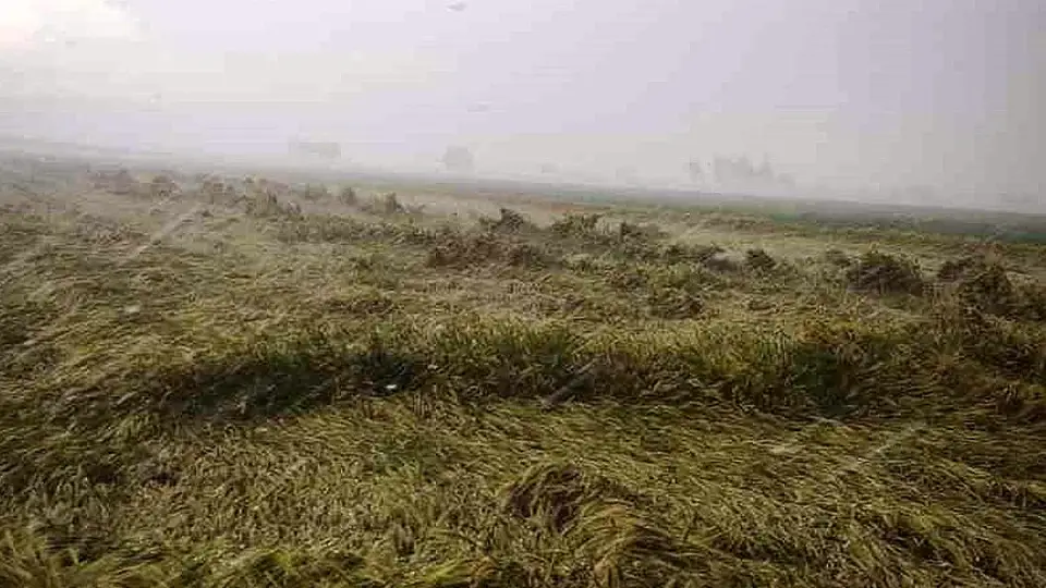 Osmaniye'de Sağanak Nedeniyle Evinde Mahsur Kalan Yaşlı Kadın Kurtarıldı