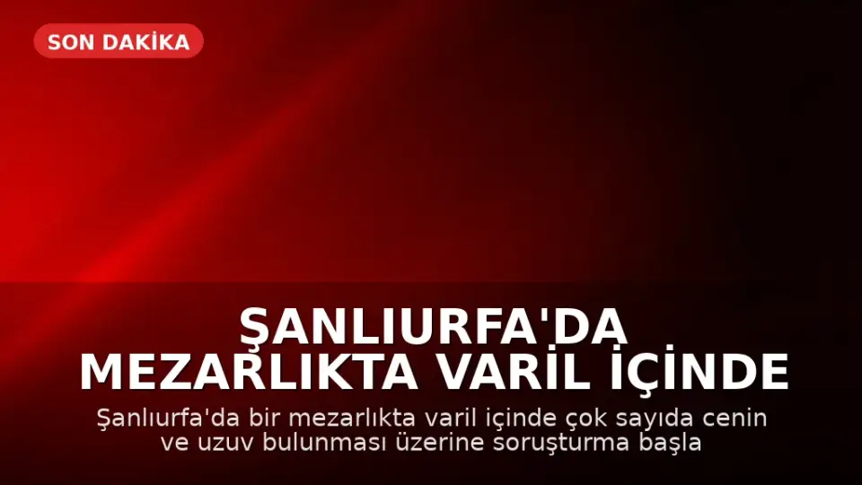 Şanlıurfa'da Mezarlıkta Varil İçinde Cenin Bulundu