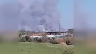 Beykoz'da Orman Yangını: Müdahale Sürüyor