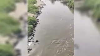 Mahmut Tanal'dan Eyyübiye İddiası: Atık Sular Tarım Alanlarına Karışıyor