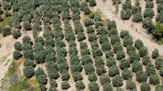 Osmaniye'de Kaçak Kazıya Dronla Müdahale: 6 Gözaltı
