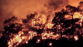 Tarım ve Orman Bakanlığı'ndan Orman Yangınları Personeli Hakkında Soruşturma İzni Reddi Kararı