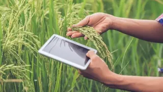 Tarımda Dijital Dönüşüm: Verimlilik Artıyor, Maliyetler Düşüyor