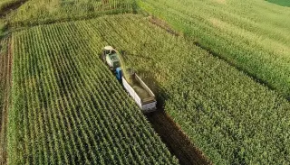 TÜBİTAK, Tarım Gıda Çevre Birliği Kurdu: Üretim Planlamasına Katkı Hedefleniyor